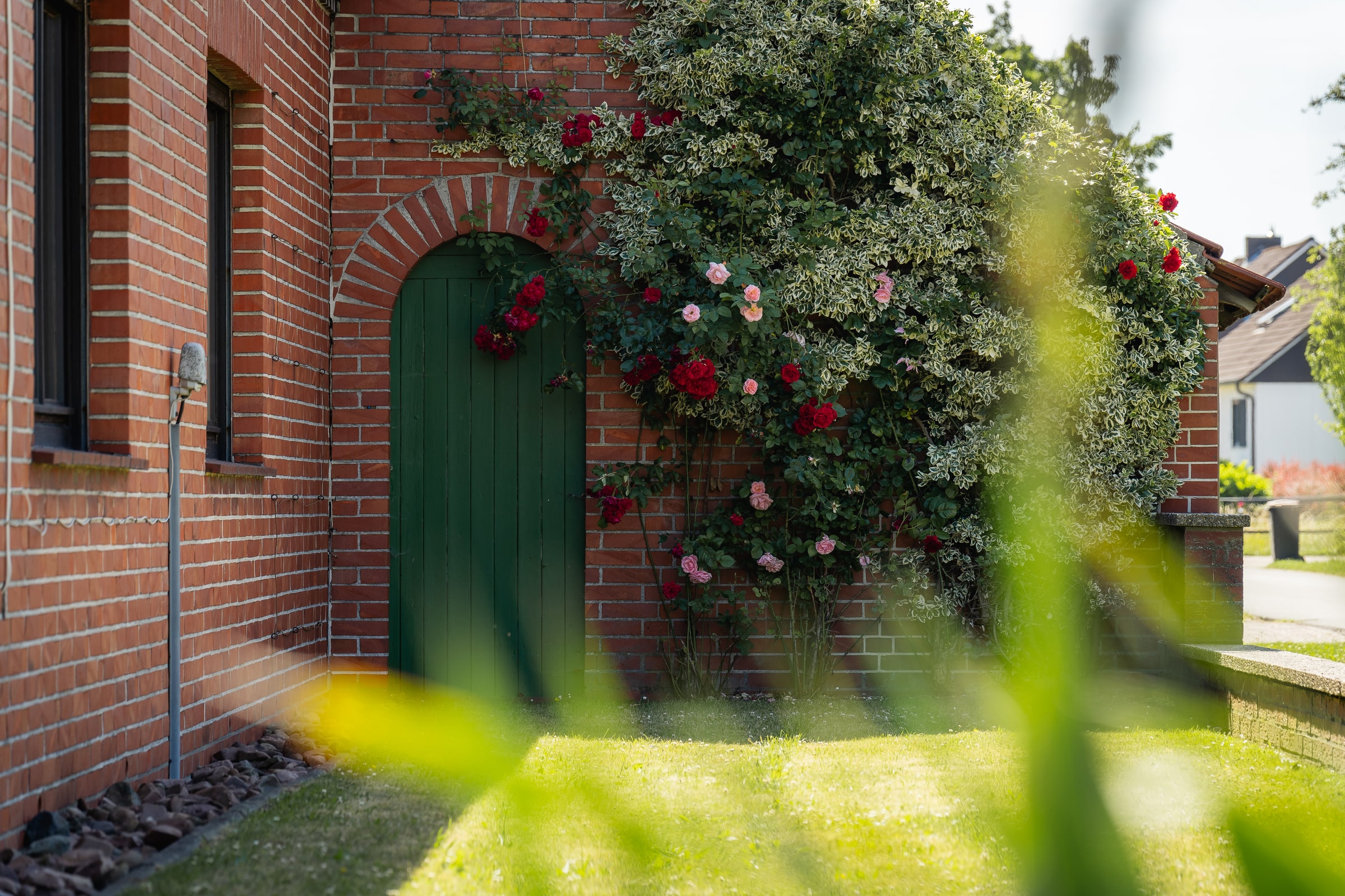 Backsteinfassade mit grüner Tür und blühenden Rosen
